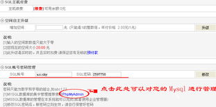 星輝互聯(lián) 深耕域名與云服務，賦能企業(yè)數字化轉型