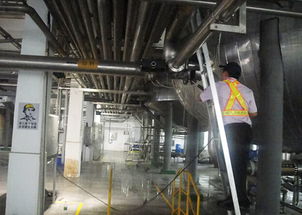 迪奈美 成功解決食品行業啤酒廠鍋爐管道結垢腐蝕異味問題